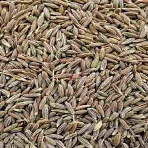 Authentic Aroma And Useful In Baking Product Gluten Free Fresh Premium Quality Organic Cumin (Jeera) Seeds
