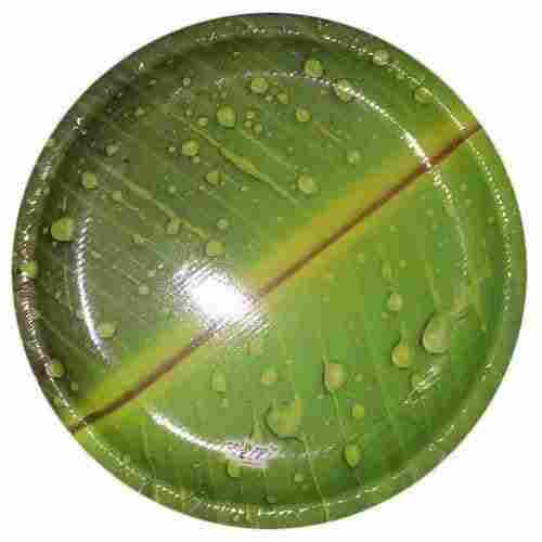 Eco Friendly Biodegradable Eco Safe Renewable Round Disposable Paper Plate