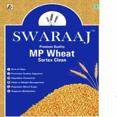 Indian Origin Premium Quality Mp Wheat