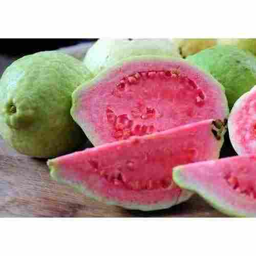 The Organic Product Is Sweet Round Pink Guava, Packaging Type: Carton, Packaging Size: 5 Kg
