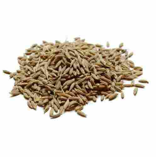Low Fat Good In Taste Easy To Digest Cumin Seeds