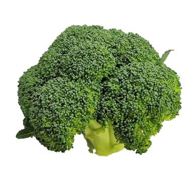 Frozen Dried IQF Broccoli
