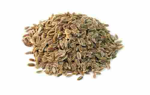 1 Kilogram Pure And Natural Food Grade Dried Granule Raw Dill Seed