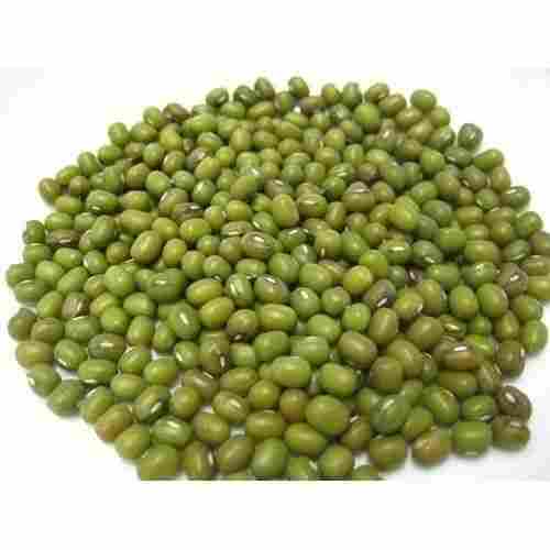 Pure And Natural Common Cultivated Food Grade Dried Moong Seed