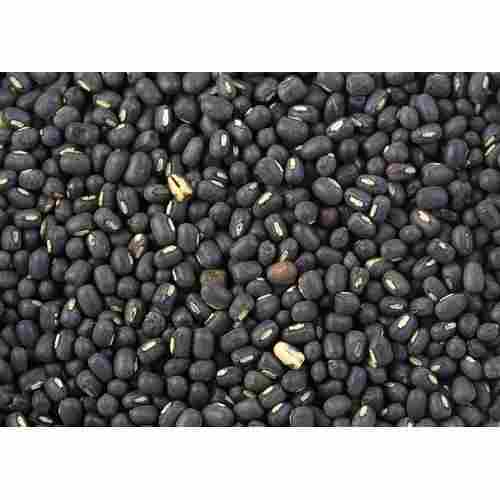 A Grade 98% Pure Indian Origin Nutrient Enriched Dried Splited Urad Dal