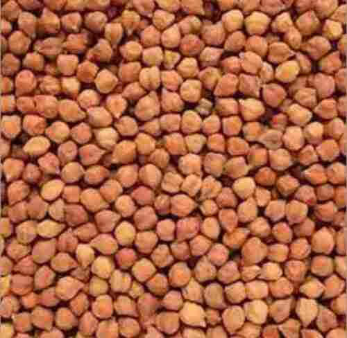 A Grade Common Cultivated Indian Origin 99.9 Percent Purity Organic Brown Chana