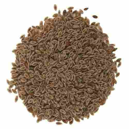 99% Pure And Natural Common Cultivated A Grade Dried Psyllium Seed