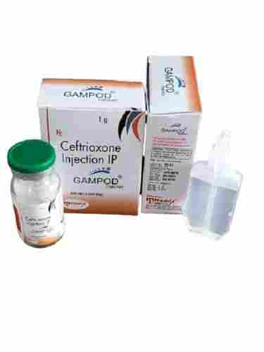 GAMPOD Ceftriaxone 1GM Antibiotic Injection