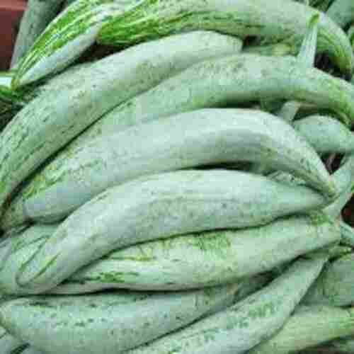 Rich Natural Fine Taste Chemical Free Organic Green Fresh Snake Gourd