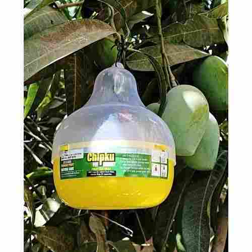 Agriculture Insect Trap