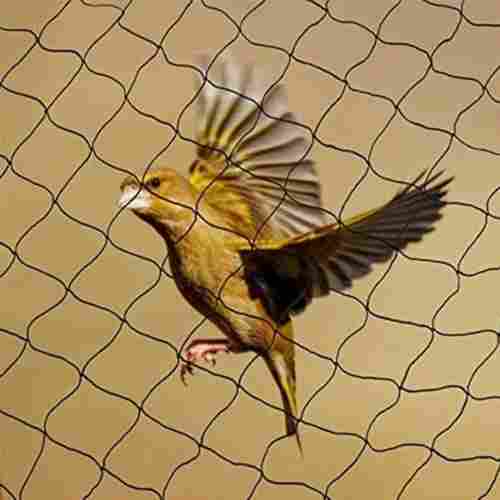 Wear And Tear Resistant Copolymer Nylon Anti Bird Net For Catching Birds