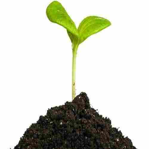 Bio Organic Manure For Agriculture Usage