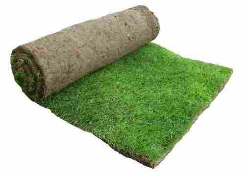 5 Meter Long Rectangular Soft And Plush Nylon Carpet Artificial Lawn Grass 