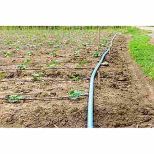 Cultivation Irrigation System