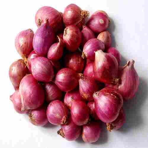 Enhance The Flavor Rich Healthy Natural Taste Organic Red Fresh Small Onion