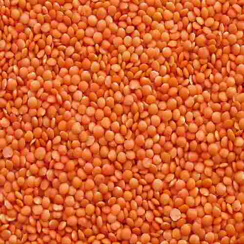 Easy To Cook Rich in Protein Natural Taste Dried Red Masoor Dal