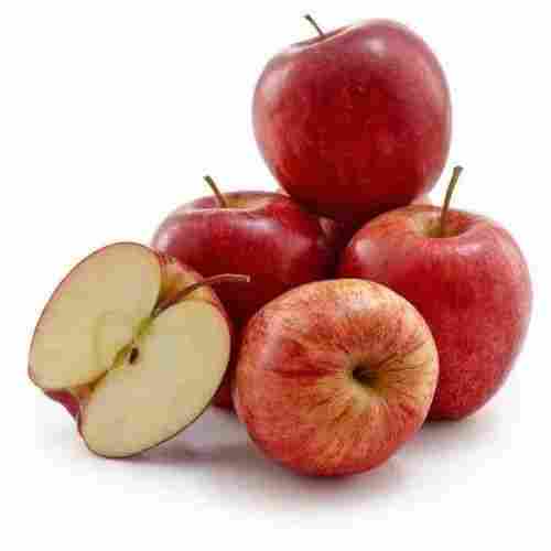 Fresh Kashmiri Apple With 10 Days Shelf Life And Rich In Protein