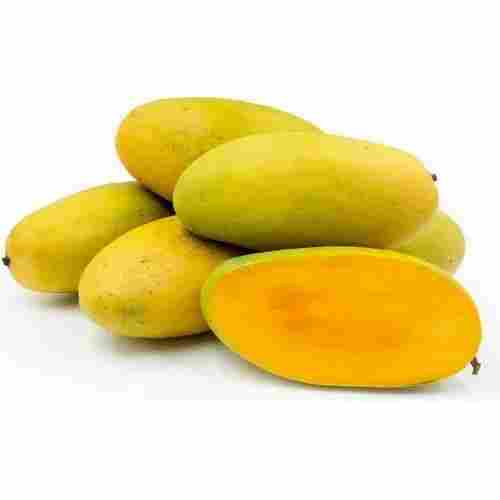 100% Fresh Dasheri Mangoes With 15 Days Shelf Life And Packaging Size 20 Kg