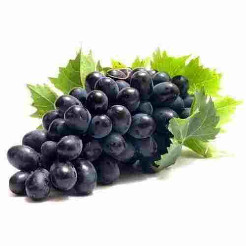 A Grade Black Grapes With 7 Days Shelf Life And 100% Fresh