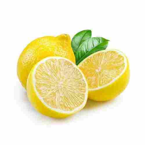 100% Organic Fresh Lemon With 30 Days Shelf Life And Packaging Size 5 Kg
