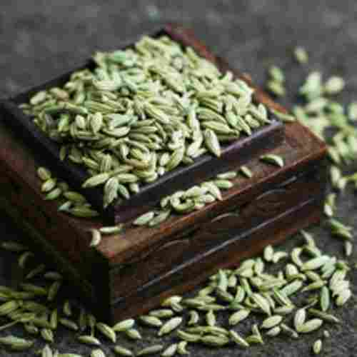 No Artificial Color Fine Natural Taste Healthy Dried Green Fennel Seeds