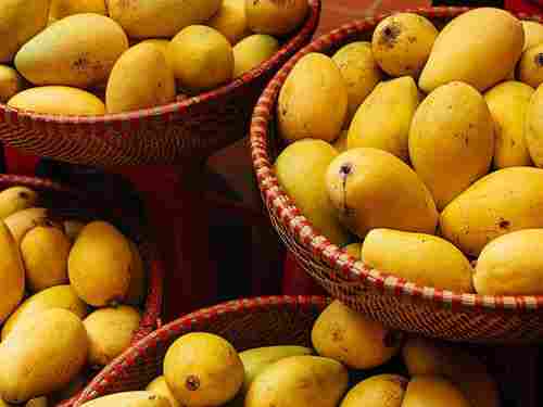 No Preservatives No Artificial Color Sweet Natural Taste Yellow Fresh Mango