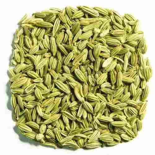 Machine Cleaned Aromatic Sweet Taste Whole Dried Green Fennel Seed