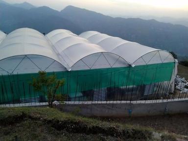 Naturally Ventilated Polyhouse With GI Pipe Structure And Insect-proof Net