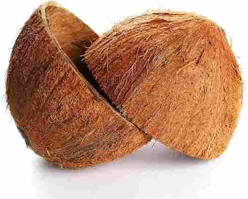 Round Shape Thick Brown Raw Coconut Shell
