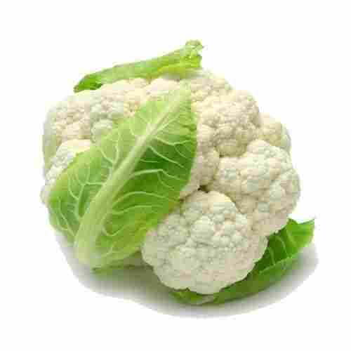 No Pesticides Rich Natural Delicious Taste Healthy White Fresh Cauliflower