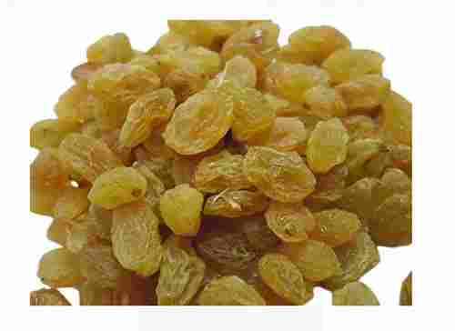 Natural And Commonly Cultivated Glutinous Sweet Dried Golden Raisins