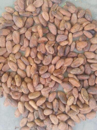 Chemical Free Organic Cocoa Beans