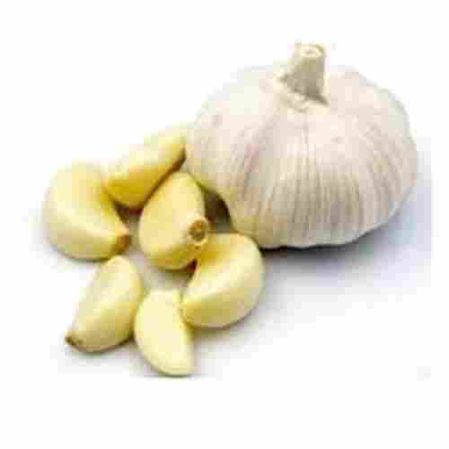 100% Organic Farm Fresh Oval Shape Naturally Grown Raw Garlic