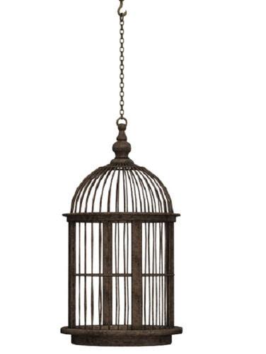 19 X 35 Cm Size Round Shape Iron Material Bird Cage For Keeping Bird  Application: Door