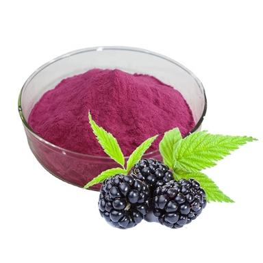 100% Natural And Healthy Blueberry Extract For Making Juice