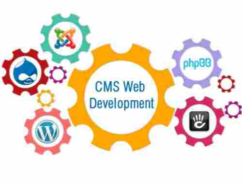CMS Website Design Service