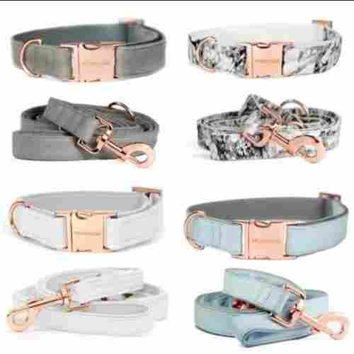 Multicolour Dog Pp Collar Lead, Available In Various Colours