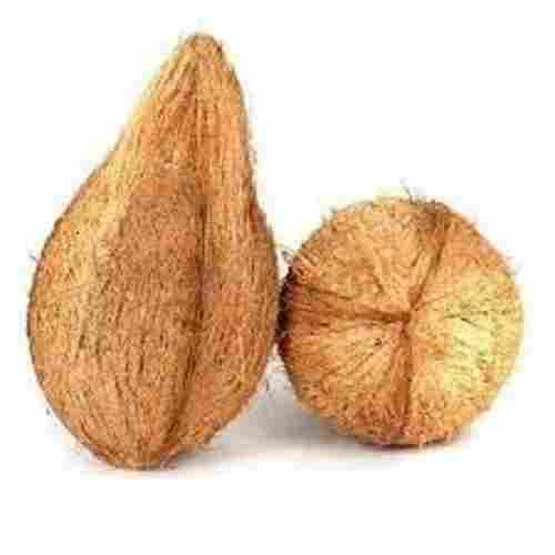 Good For Health Fresh Semi Husk Round Whole Matured Brown Coconut