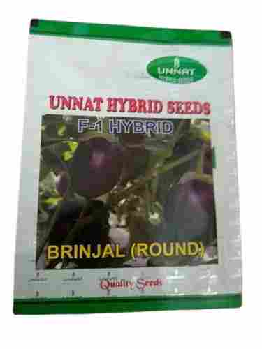 Dried Cross Bread Hybrid Brinjal Seeds
