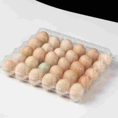 Transparent Light Weight Glossy Finish Eggs Packing Plastic Tray