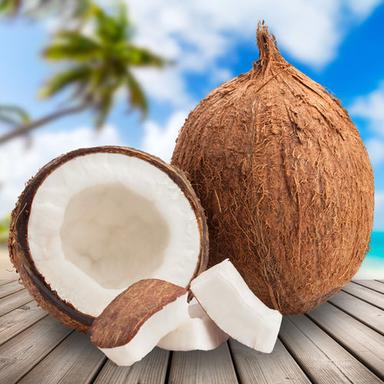 Organic Natural Brown Fresh Mature Coconut, Good In Taste