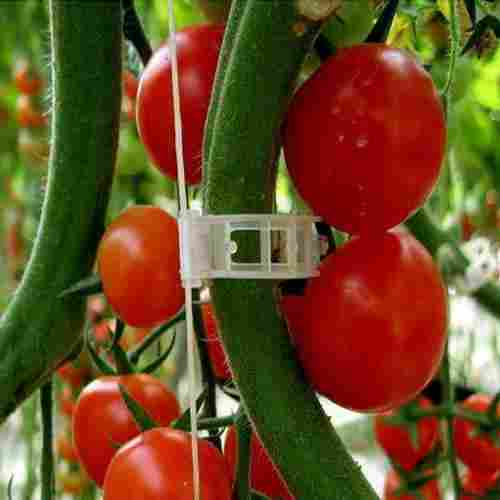 Tomato Trellising Clip or Plant Supporting With Easy to Use