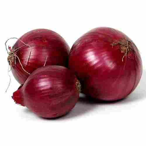 Dried & Fresh Onion With Red Color and 5 Days Shelf Life, Anti-Inflammatory Properties