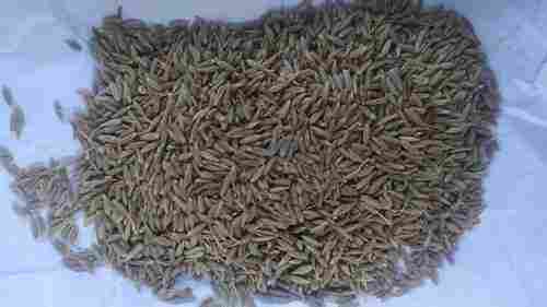 100% Pure Cumin Seed For Cooking And Medicine Use