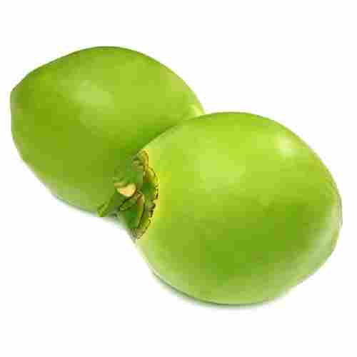 Export Quality Fresh 18 CM Whole Green Young Coconuts With Water Content