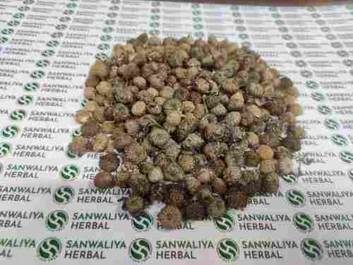 Natural Akarkara Seeds For Medicinal Usage With Packaging Size 10 Kg