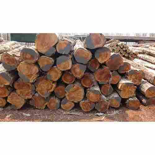 15-40 Cm Thick 16% Moisture Content Teak Wood Logs For Flooring And Framing