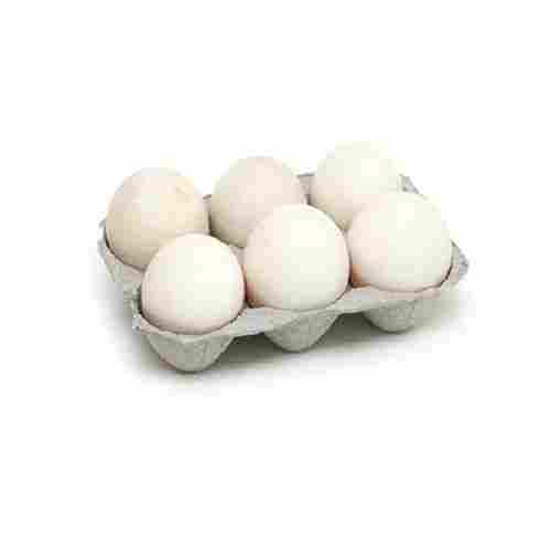 Oval Shape White High In Protein Poultry Egg