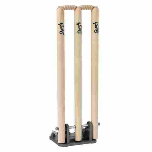 Eucalyptus Wood Cricket Stump For Cricket With 2 Bails, 3 Piece In Set, Polished Finish