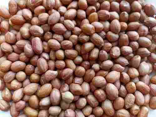 Organic Dried Peanut, 6 Months Shelf Life